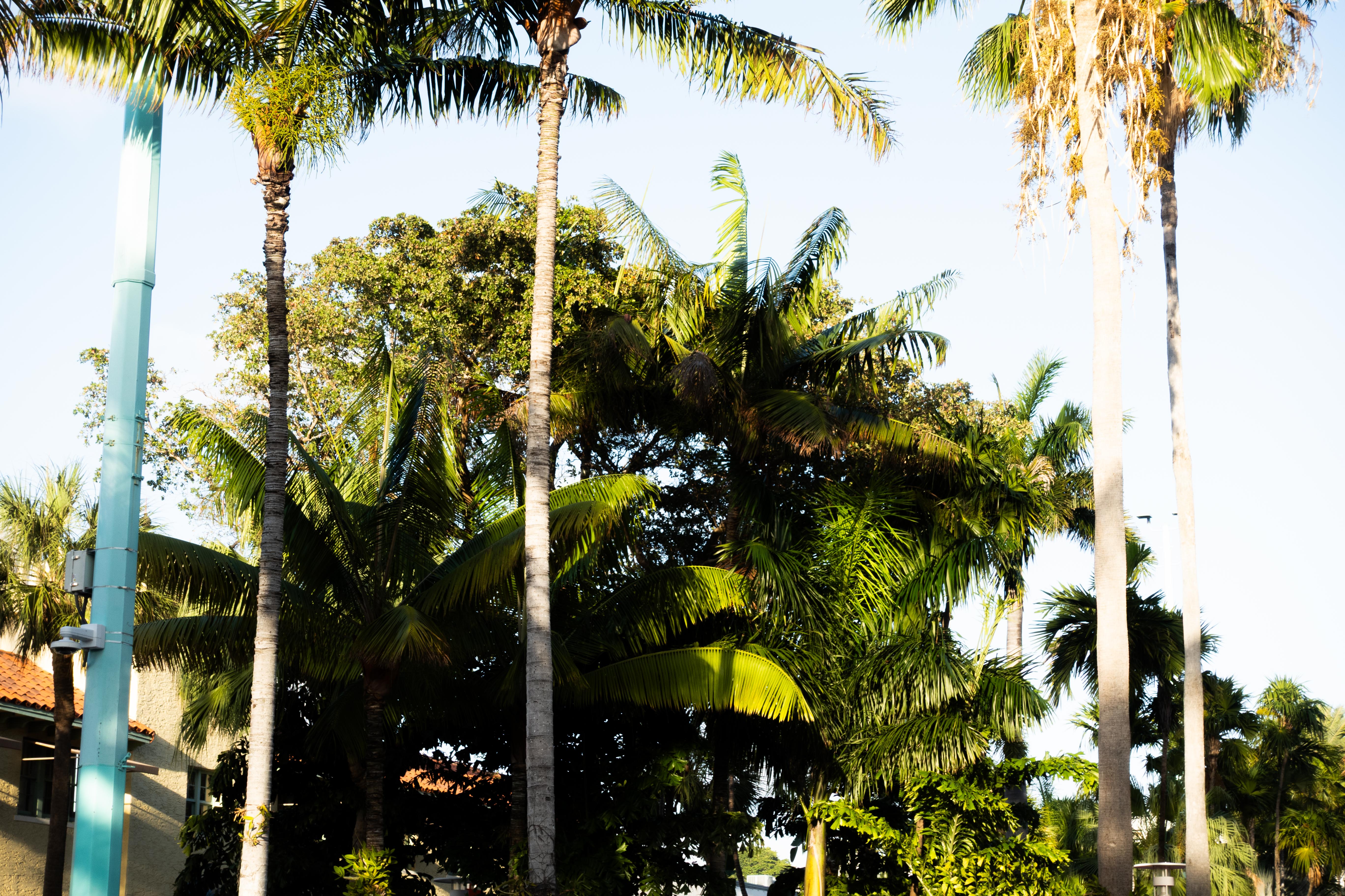 20260308_miami_beach_4.jpg