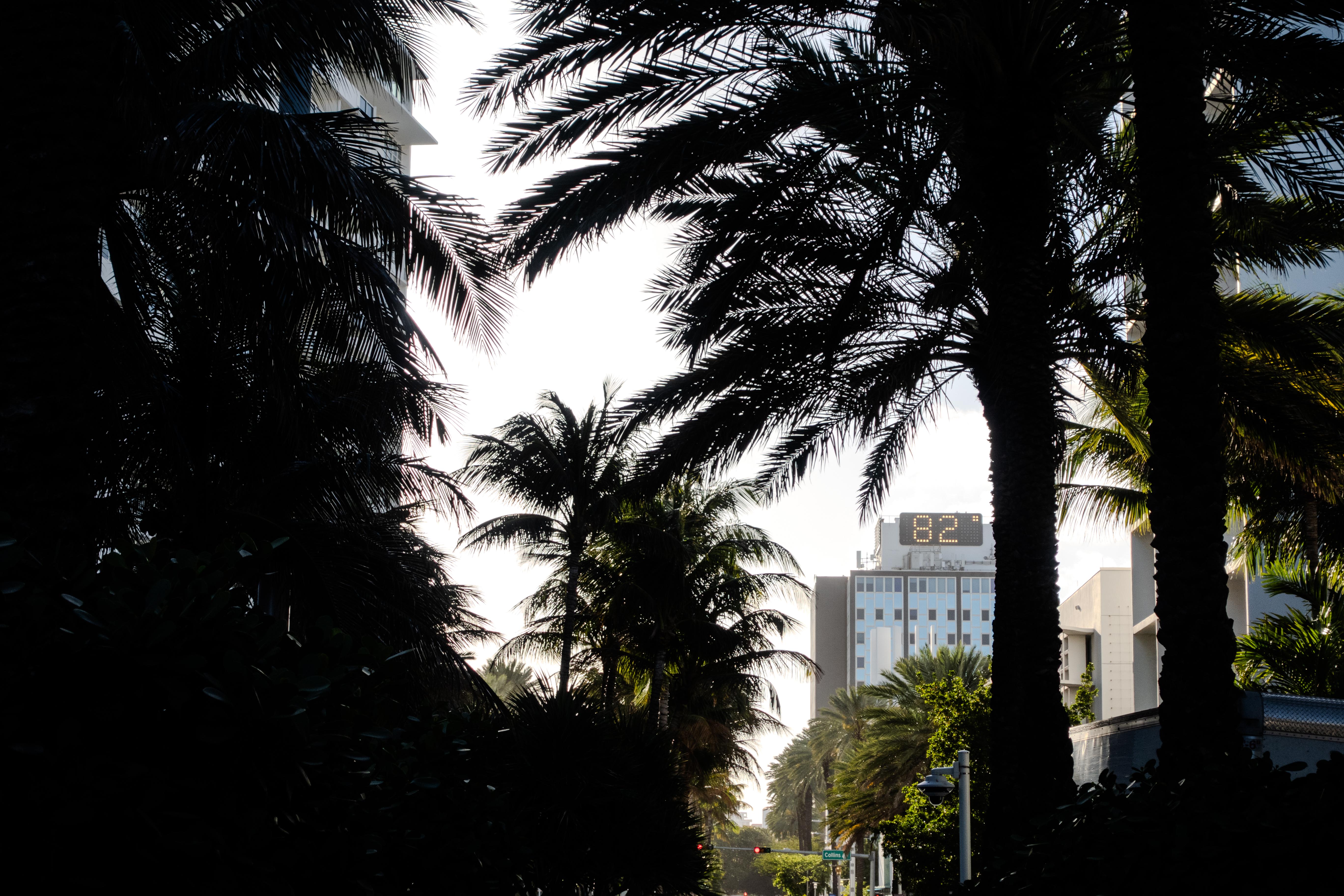 20260309_miami_beach_02.jpg