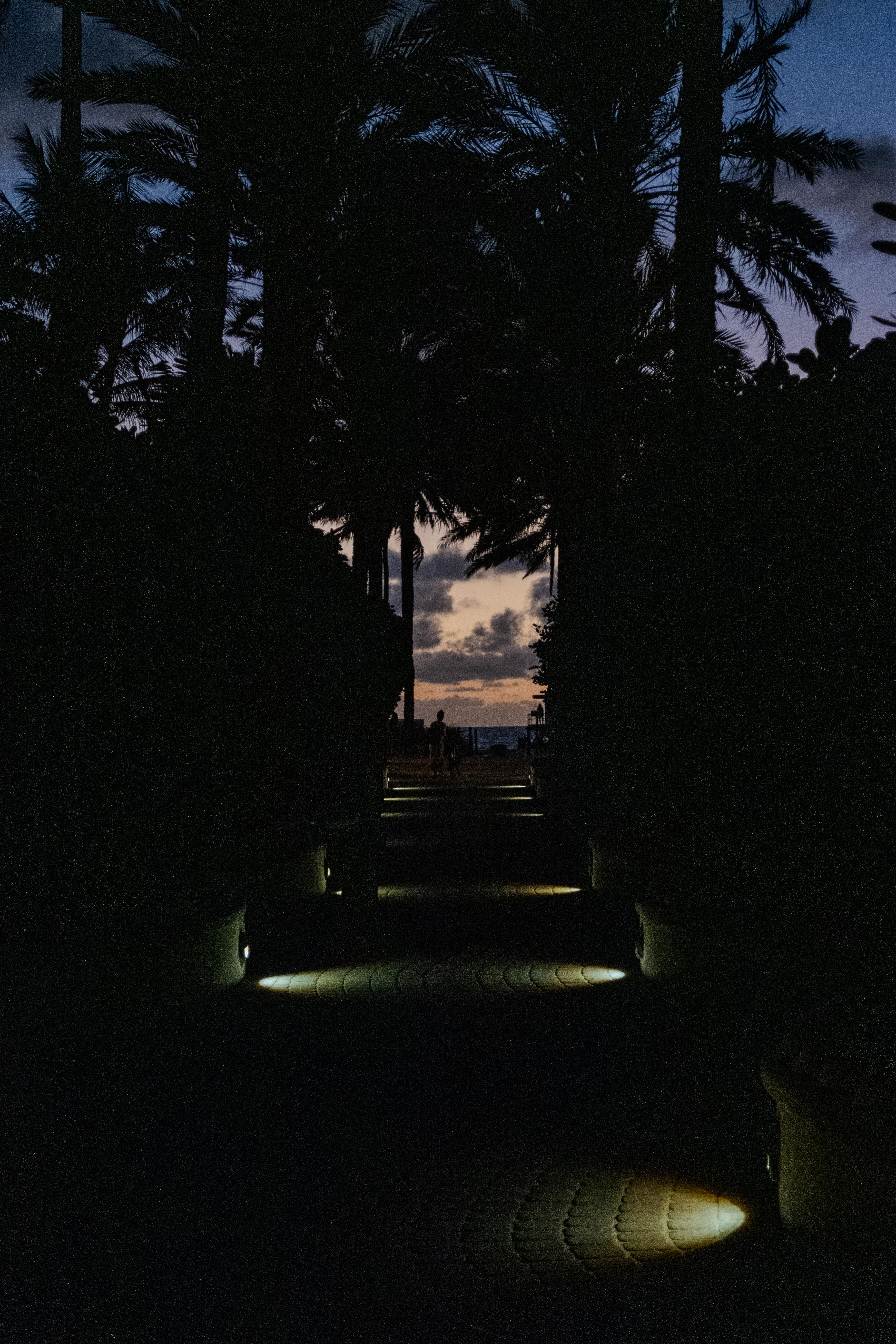 20260312_miami_beach_1.jpg