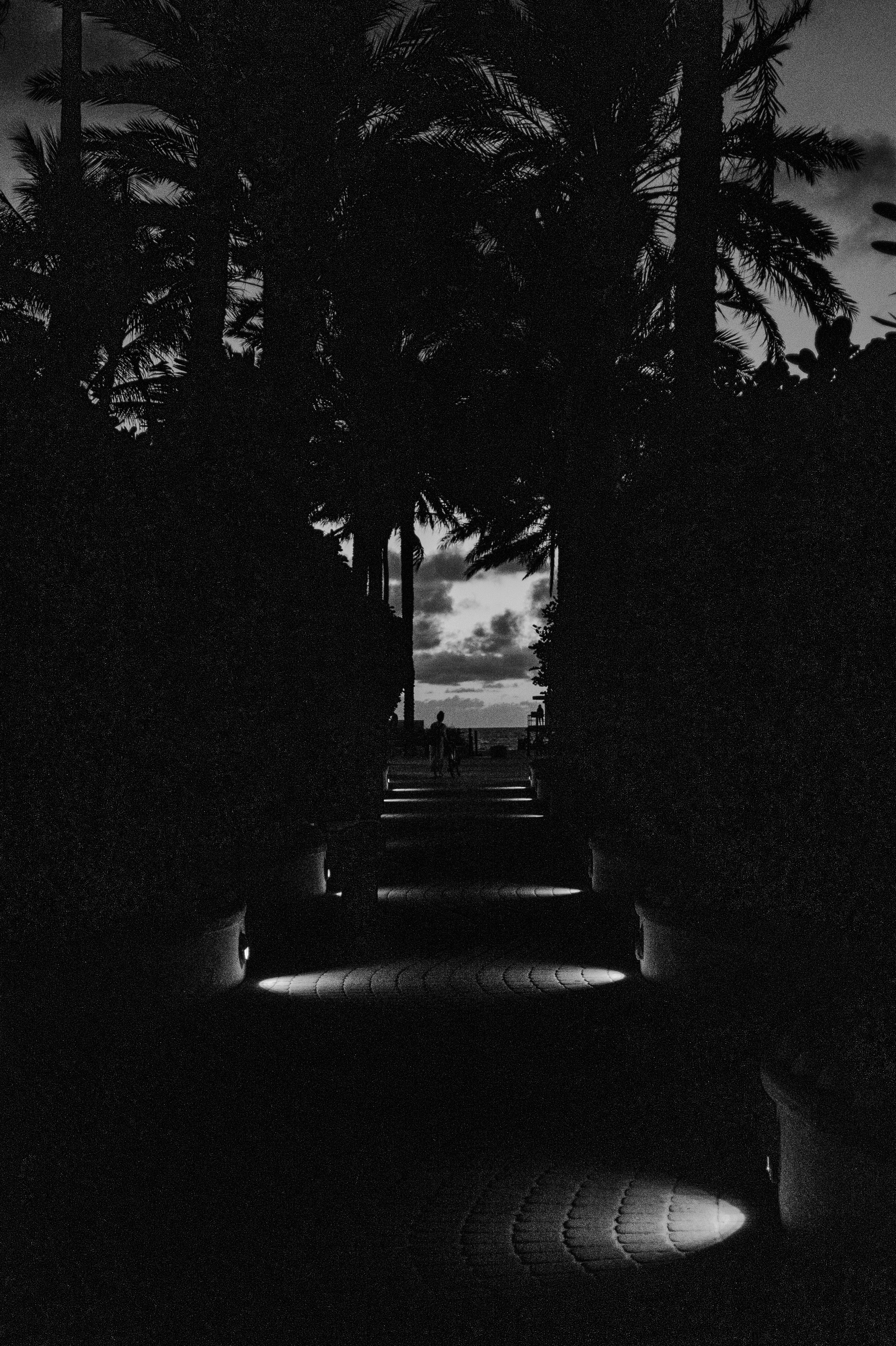 20260312_miami_beach_2.jpg